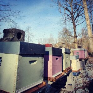 Apiculture ruches Nord parrainage responsable